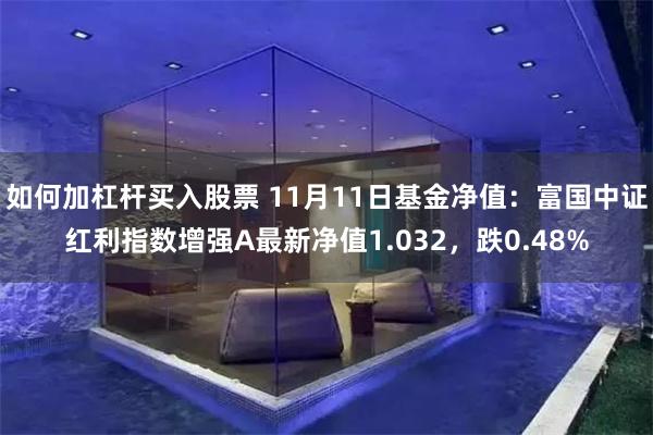 如何加杠杆买入股票 11月11日基金净值：富国中证红利指数增强A最新净值1.032，跌0.48%