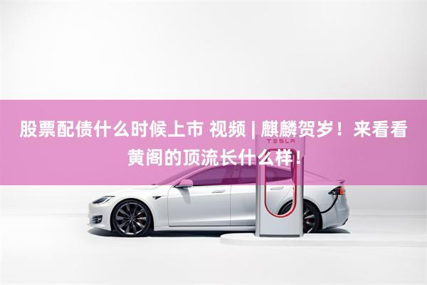 股票配债什么时候上市 视频 | 麒麟贺岁！来看看黄阁的顶流长什么样！
