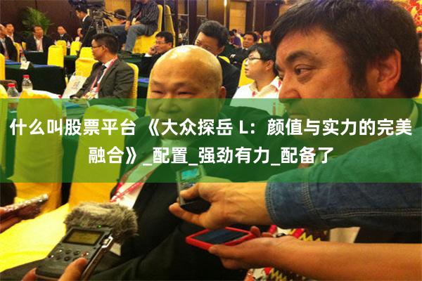 什么叫股票平台 《大众探岳 L：颜值与实力的完美融合》_配置_强劲有力_配备了