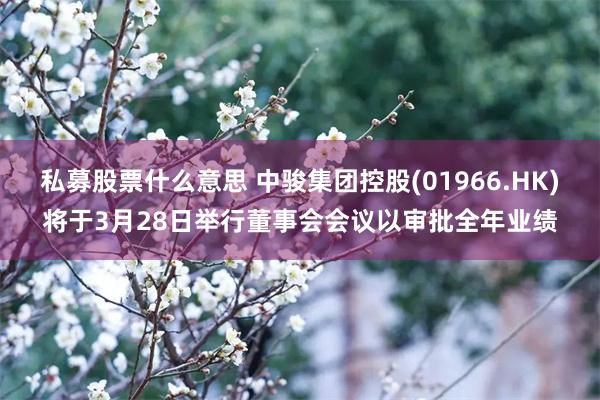 私募股票什么意思 中骏集团控股(01966.HK)将于3月28日举行董事会会议以审批全年业绩