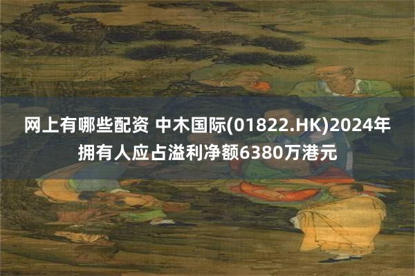 网上有哪些配资 中木国际(01822.HK)2024年拥有人应占溢利净额6380万港元