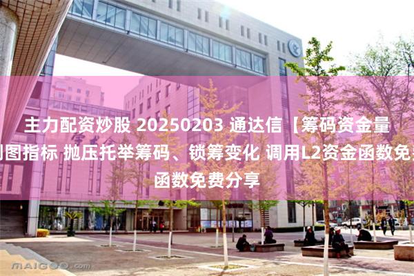 主力配资炒股 20250203 通达信【筹码资金量化】副图指标 抛压托举筹码、锁筹变化 调用L2资金函数免费分享
