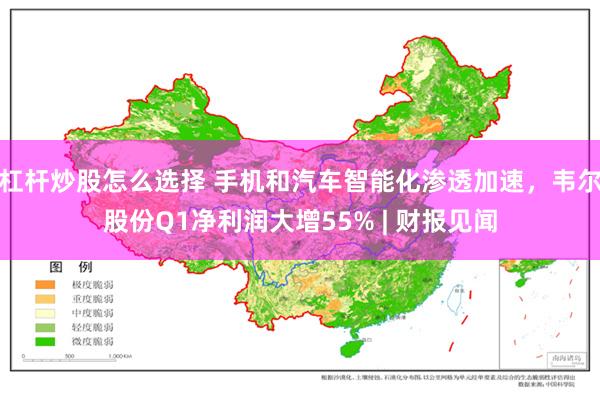 杠杆炒股怎么选择 手机和汽车智能化渗透加速，韦尔股份Q1净利润大增55% | 财报见闻