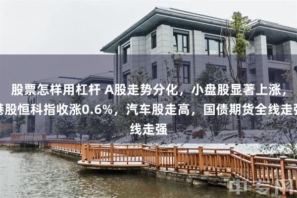 股票怎样用杠杆 A股走势分化，小盘股显著上涨，港股恒科指收涨0.6%，汽车股走高，国债期货全线走强