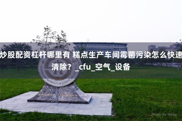 炒股配资杠杆哪里有 糕点生产车间霉菌污染怎么快速清除？_cfu_空气_设备