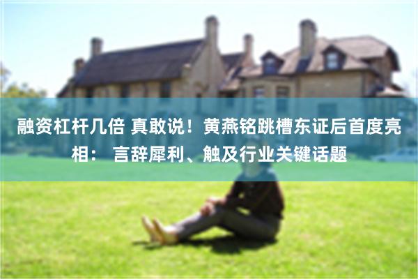 融资杠杆几倍 真敢说！黄燕铭跳槽东证后首度亮相： 言辞犀利、触及行业关键话题