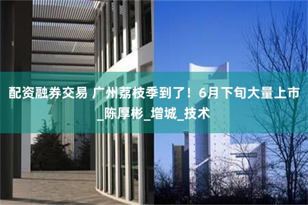配资融券交易 广州荔枝季到了！6月下旬大量上市_陈厚彬_增城_技术