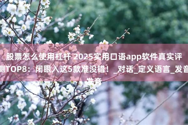 股票怎么使用杠杆 2025实用口语app软件真实评测TOP8：闭眼入这5款准没错！_对话_定义语言_发音