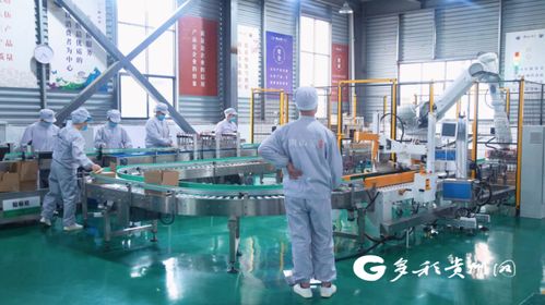 安順155名產業村長點燃鄉村振興新引擎，農副產品暢銷富鄉惠民利企