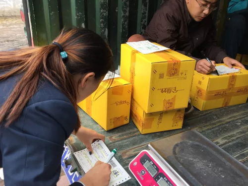 電商賦能太行百歲品牌，助力初級農產品收購新篇章